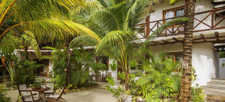 埃尔科拉松精品酒店 - 限成人，含海滩俱乐部通行证(El Corazón Boutique Hotel - Adults Only with Beach Club's Pass Included)图片