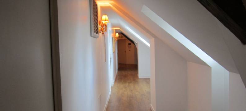 拉泽内城堡 - 公寓酒店(Château de Lazenay, Bourges Val d'Auron)图片