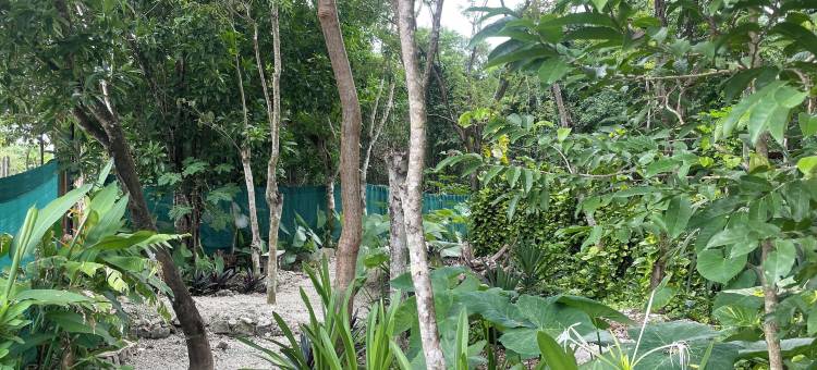 科苏梅尔露天睡眠(Cozumel Glamping)图片