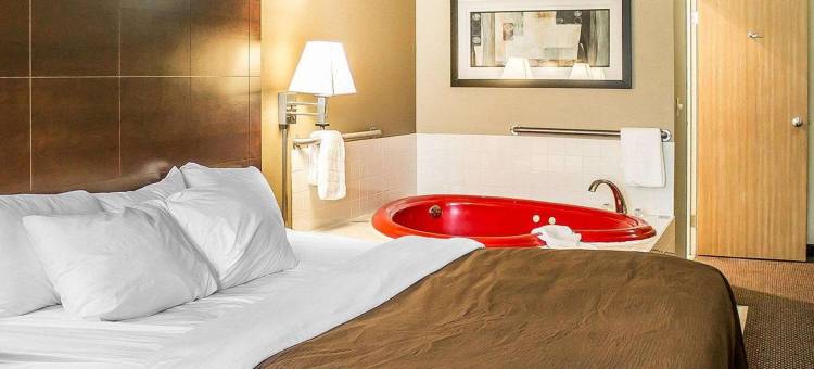 凯艺套房酒店(Quality Inn & Suites)图片