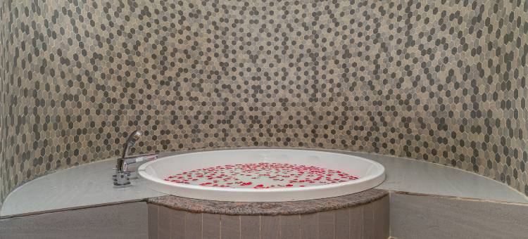 萨罗瓦尔斯里纳格高级酒店(Sarovar Premiere Srinagar)图片