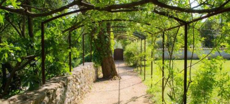 Château d'Uzer图片