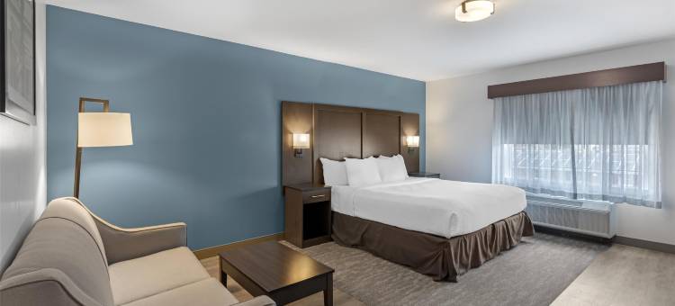 好时贝斯特韦斯特优质酒店(Best Western Plus Hershey)图片