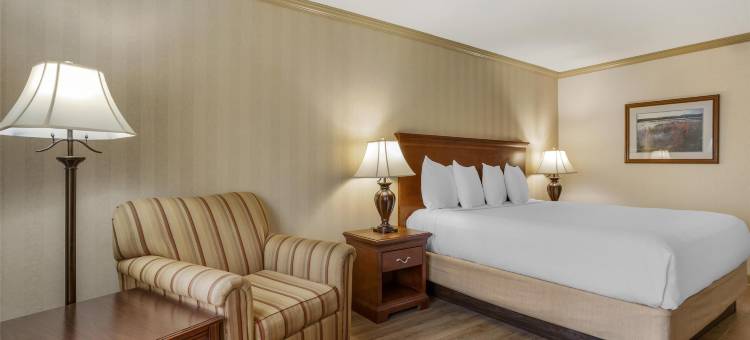 莫里斯敦贝斯特韦斯特优质酒店(Best Western Plus Morristown Inn)图片