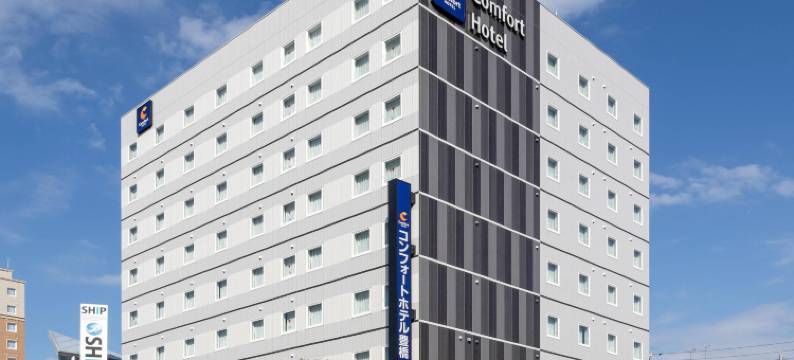 丰桥舒适酒店(Comfort Hotel Toyohashi)图片