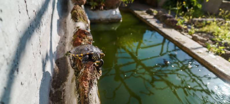 A lovely home in a quiet area图片