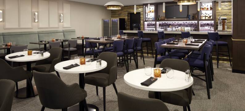 蒙特娄机场希尔顿逸林酒店(DoubleTree by Hilton Montreal Airport)图片