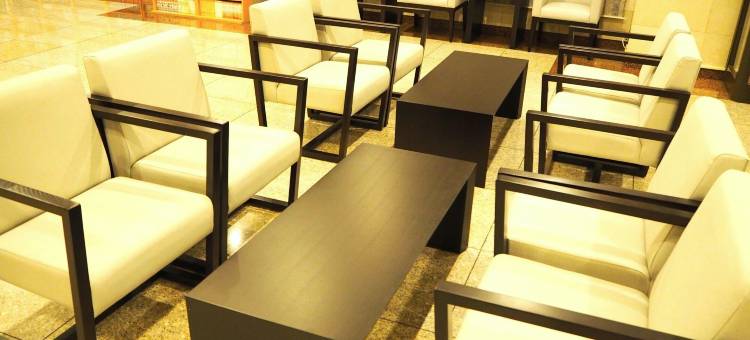 东京新小岩微笑酒店(Smile Hotel Tokyo Shinkoiwa)图片