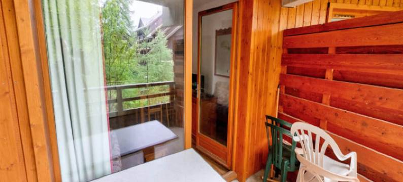 Apartment in Puy Saint-Vincent Near Ecrins图片