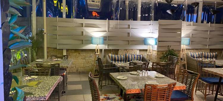 莫汉郁金香酒店(Mohan Tulip Hotel)图片