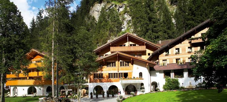 多尔登峰森林酒店(Waldhotel Doldenhorn)图片