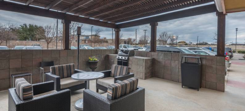 达拉斯迪索托TownePlace Suites 酒店(TownePlace Suites Dallas DeSoto)图片