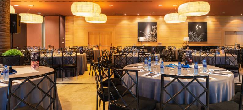 水晶宫欧洲之星酒店(Eurostars Palacio de Cristal)图片