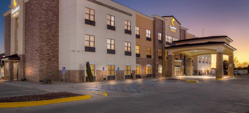 舒适套房酒店(Comfort Suites)图片