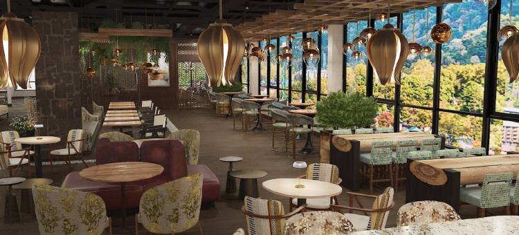 加德林堡市中心英迪格酒店(洲际酒店集团)(Hotel Indigo Gatlinburg Downtown by IHG)图片