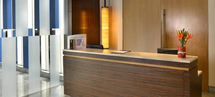 新德里机场大道福朋喜来登酒店(Four Points by Sheraton New Delhi, Airport Highway)图片