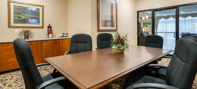 查尔斯湖舒适套房酒店(Comfort Suites Lake Charles)图片