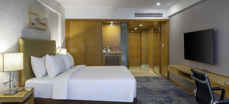 浦那卡拉迪丽笙酒店(Radisson Blu Hotel Pune Kharadi)图片