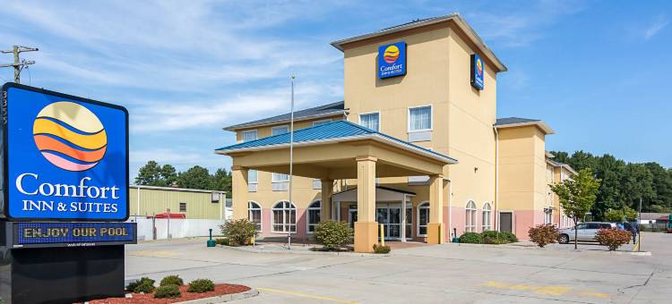 切萨皮克朴茨茅斯舒适套房酒店(Comfort Inn & Suites Chesapeake - Portsmouth)图片