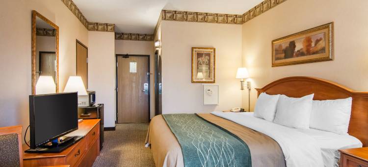 梅德福南舒适酒店(Comfort Inn Medford South)图片