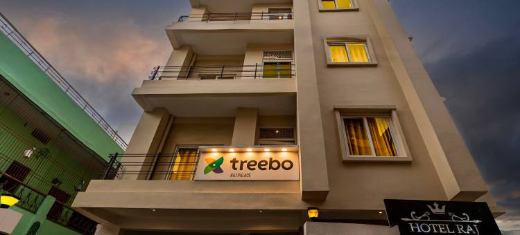 Treebo Raj Palace图片