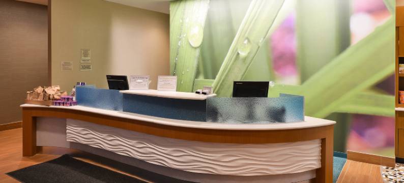 沃里斯芒特劳雷尔/樱桃山万豪SpringHill Suites 酒店(SpringHill Suites Voorhees Mt. Laurel/Cherry Hill)图片