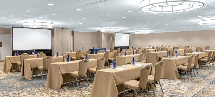 麦克莱恩泰森希尔顿逸林酒店(DoubleTree by Hilton McLean Tysons)图片
