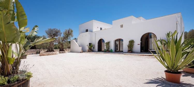 马斯仙达瓜达卢佩(Masseria Guadalupe, the Mascienda)图片