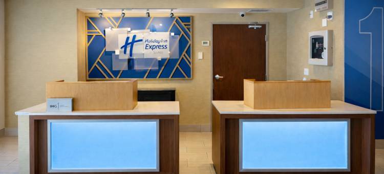 圣保罗伍德伯里智选假日酒店及套房-由洲际酒店集团管理(Holiday Inn Express & Suites ST. PAUL - WOODBURY by IHG)图片