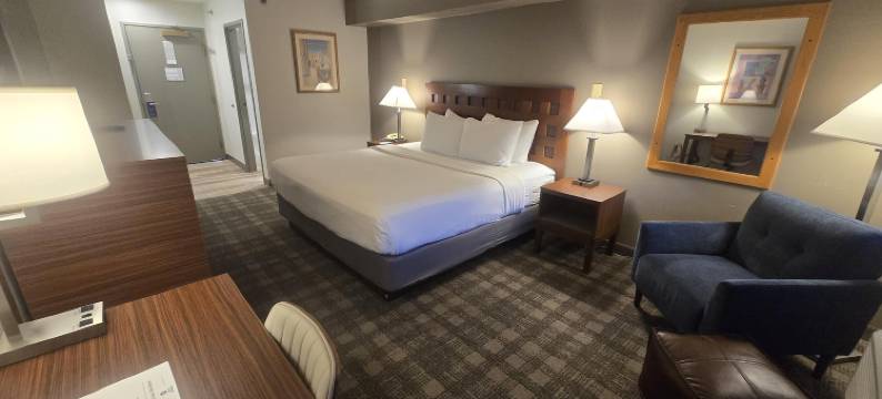 阿尔伯克基绿树旅馆(Best Western North I-25 Hotel)图片
