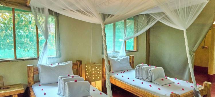 米古恩贾帐篷营地(Migunga Tented Camp)图片