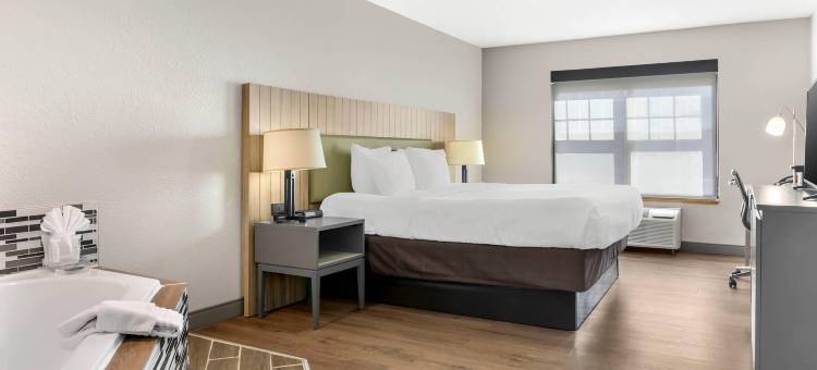 乔治敦丽怡酒店(Country Inn & Suites by Radisson, Georgetown, KY)图片