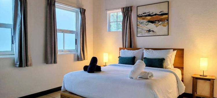 阿尔玛维达酒店(Alma Vida Hotel)图片