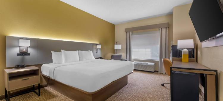 匹兹堡机场舒适套房酒店(Comfort Suites Pittsburgh Airport)图片