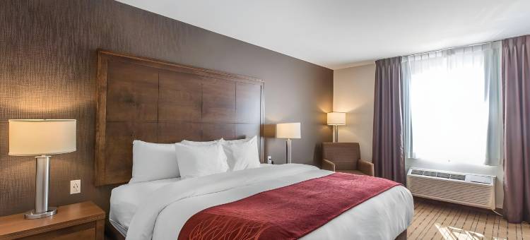 舒适酒店(Comfort Inn - Gander)图片