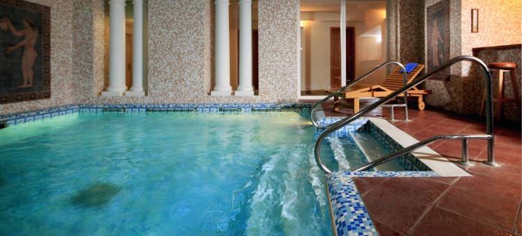 玛丽亚温泉市兹翁宫奥瑞亚水疗酒店(Orea Spa Hotel Palace Zvon Mariánské Lázně)图片