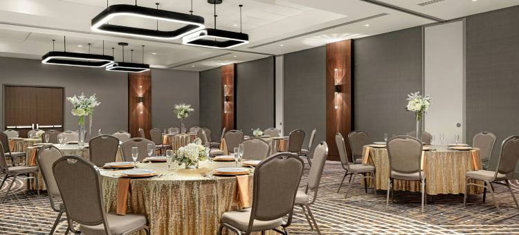 圣安东尼奥机场万豪酒店(Marriott San Antonio Airport)图片