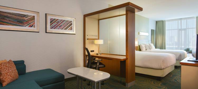 SpringHill Suites酒店纳什维尔范德比尔特/西区(SpringHill Suites Nashville Vanderbilt/West End)图片