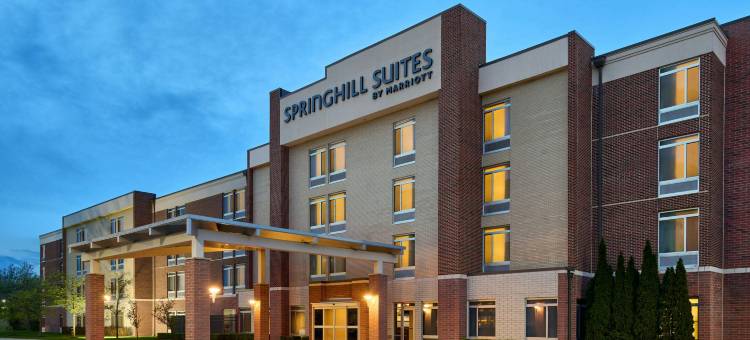 罗穆勒斯底特律都会机场万豪SpringHill酒店(SpringHill Suites Detroit Metro Airport Romulus)图片