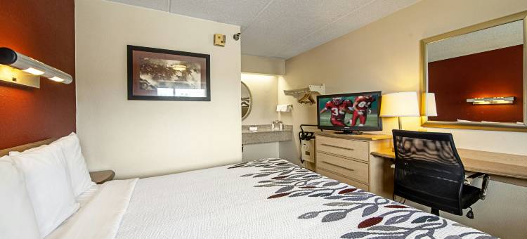 杰克逊维尔机场红顶酒店(Red Roof Inn Jacksonville Airport)图片