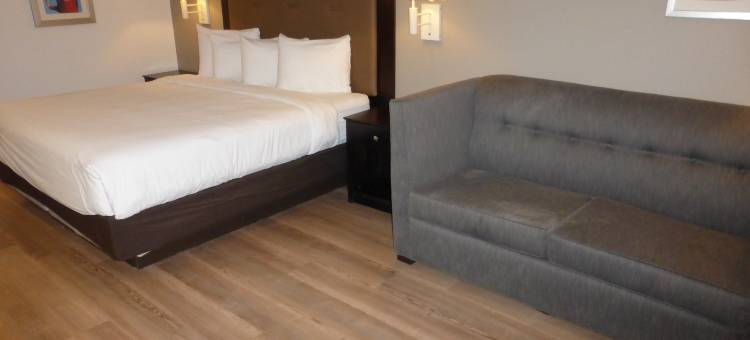 休斯顿红顶酒店-泽西村(Red Roof Inn Houston - Jersey Village)图片