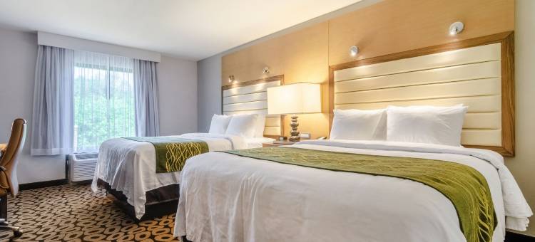 罗利城区舒适酒店(Comfort Inn Raleigh Midtown)图片