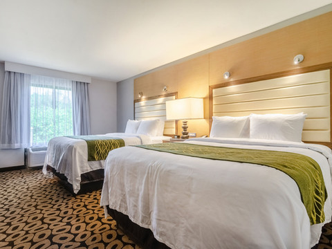 罗利城区舒适酒店