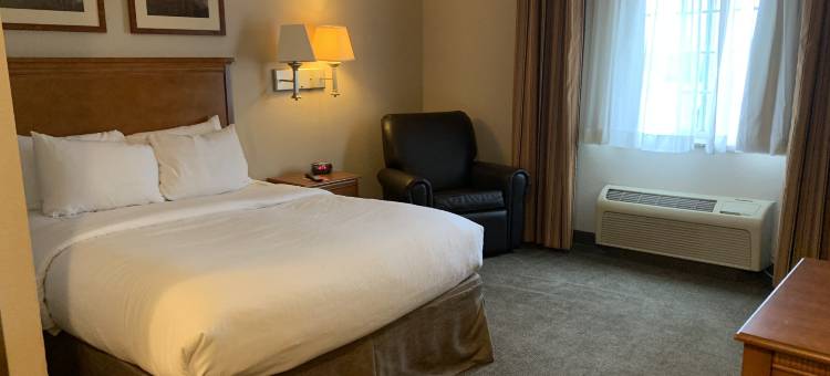 Candlewood Suites 琼斯伯勒 by IHG(Candlewood Suites Jonesboro by IHG)图片