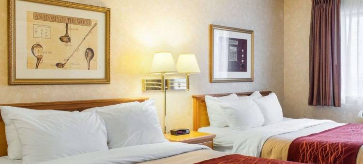 布兰登品质酒店(Quality Inn)图片