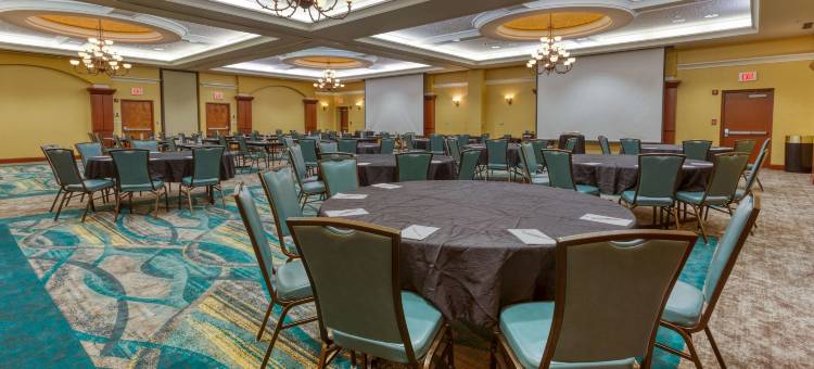 圣路易斯-切斯特菲尔德德鲁里广场酒店(Drury Plaza Hotel St. Louis Chesterfield)图片