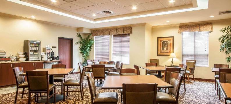 麦克明维尔酒乡舒适套房酒店(Comfort Inn & Suites McMinnville Wine Country)图片