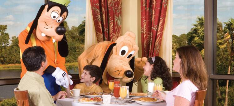 布埃纳维斯塔湖迪士尼清泉温德姆花园酒店(Wyndham Garden Lake Buena Vista Disney Springs® Resort Area)图片