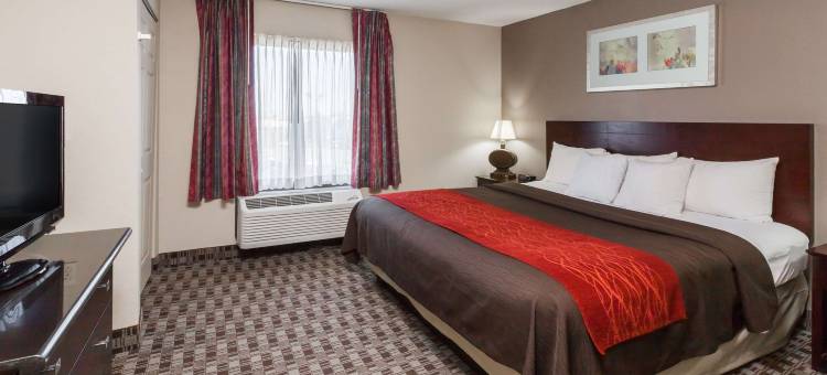 Wingate by Wyndham Canton/Hall of Fame图片