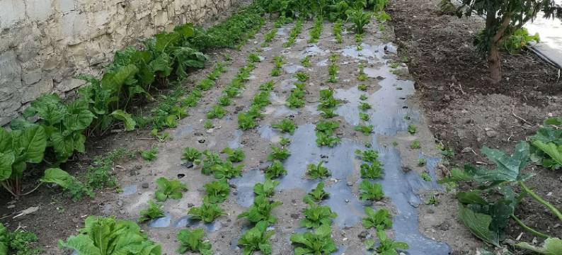 雨山前客栈(中国熊猫大道2号分店)图片